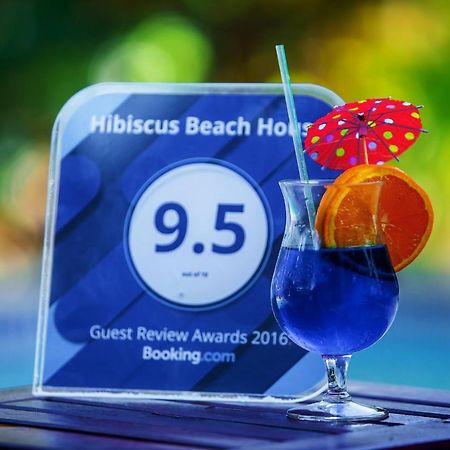 Hibiscus Beach House Jan Thiel Dış mekan fotoğraf