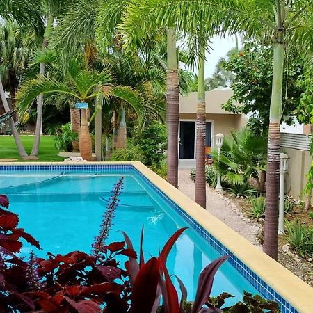 Hibiscus Beach House Jan Thiel Dış mekan fotoğraf