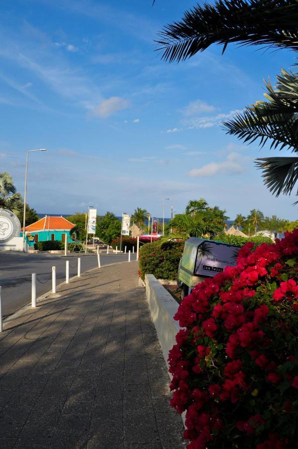 Hibiscus Beach House Jan Thiel Dış mekan fotoğraf