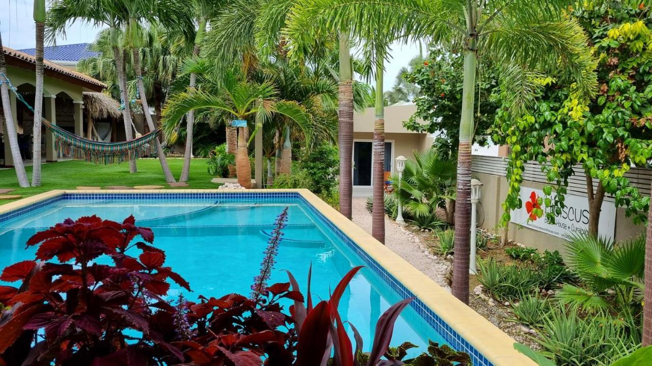 Hibiscus Beach House Jan Thiel Dış mekan fotoğraf